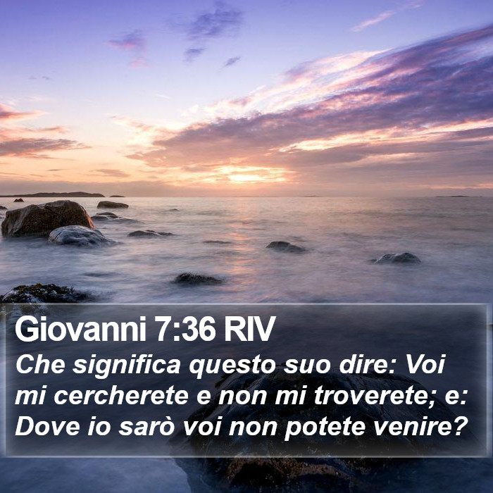 Giovanni 7:36 RIV Bible Study