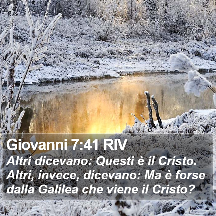 Giovanni 7:41 RIV Bible Study