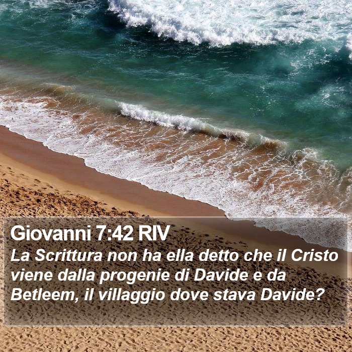 Giovanni 7:42 RIV Bible Study