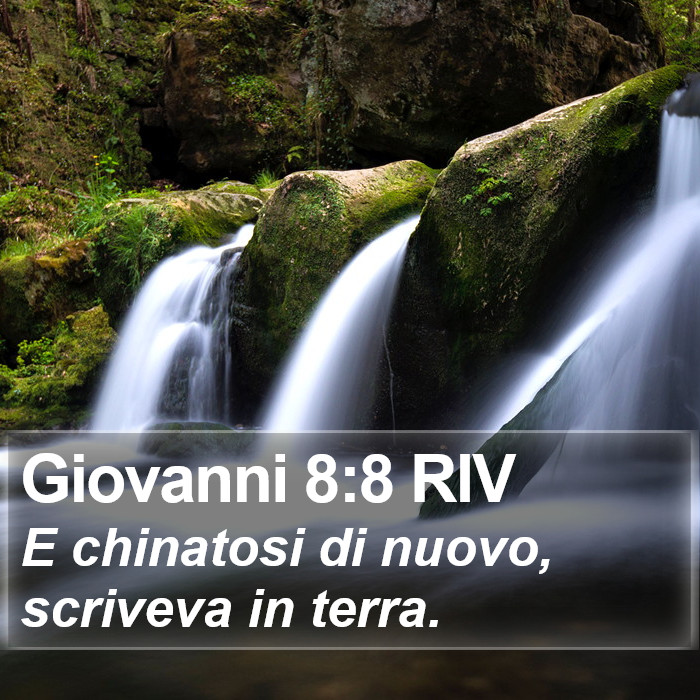 Giovanni 8:8 RIV Bible Study