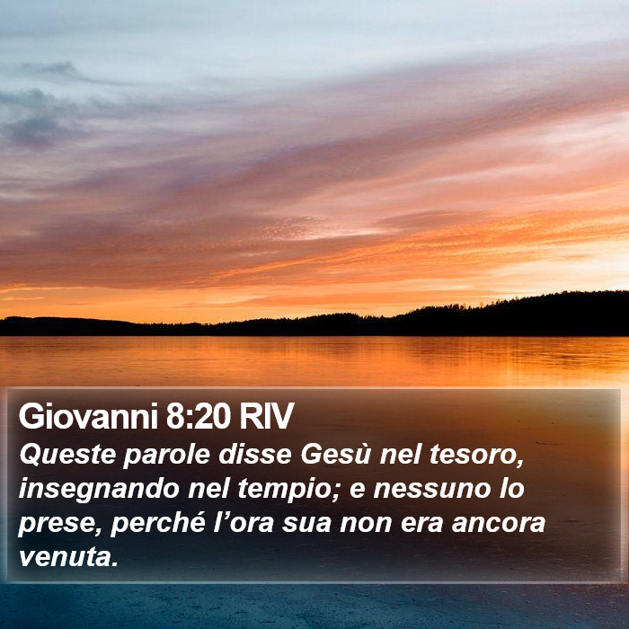 Giovanni 8:20 RIV Bible Study