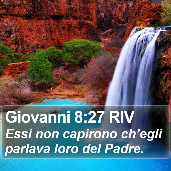 Giovanni 8:27 RIV Bible Study