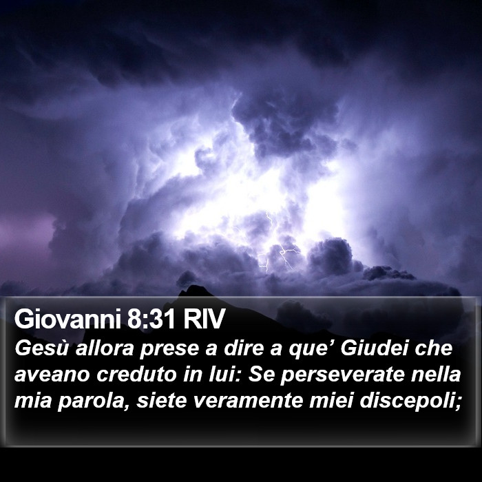 Giovanni 8:31 RIV Bible Study