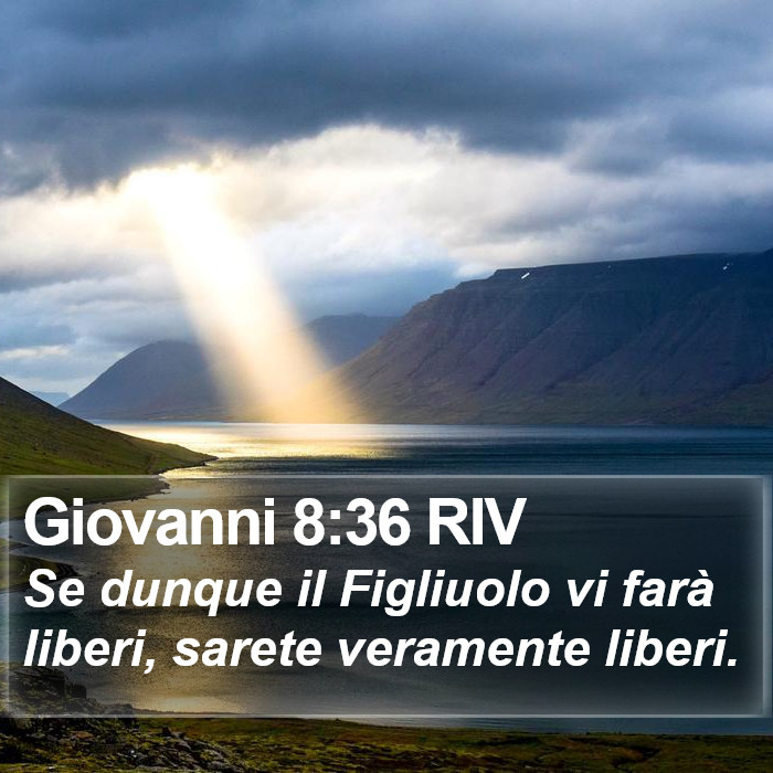 Giovanni 8:36 RIV Bible Study