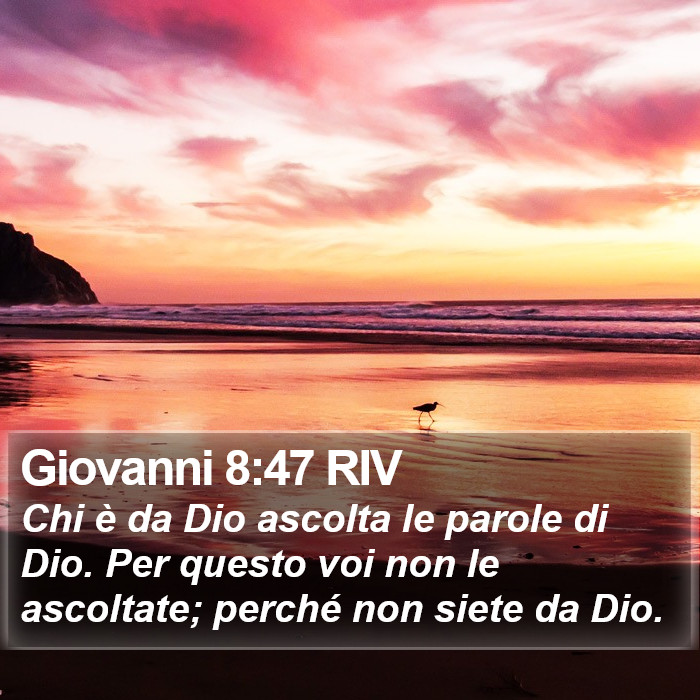 Giovanni 8:47 RIV Bible Study