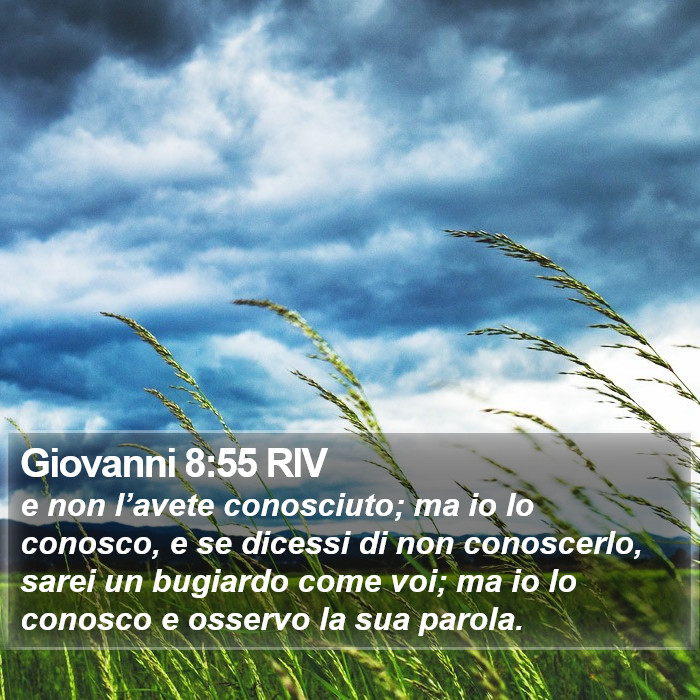 Giovanni 8:55 RIV Bible Study