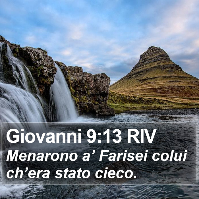 Giovanni 9:13 RIV Bible Study