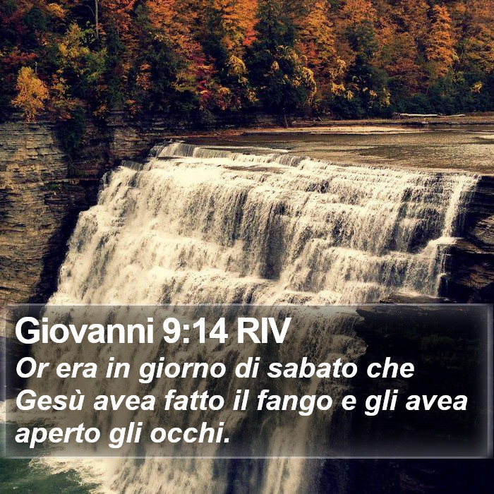Giovanni 9:14 RIV Bible Study