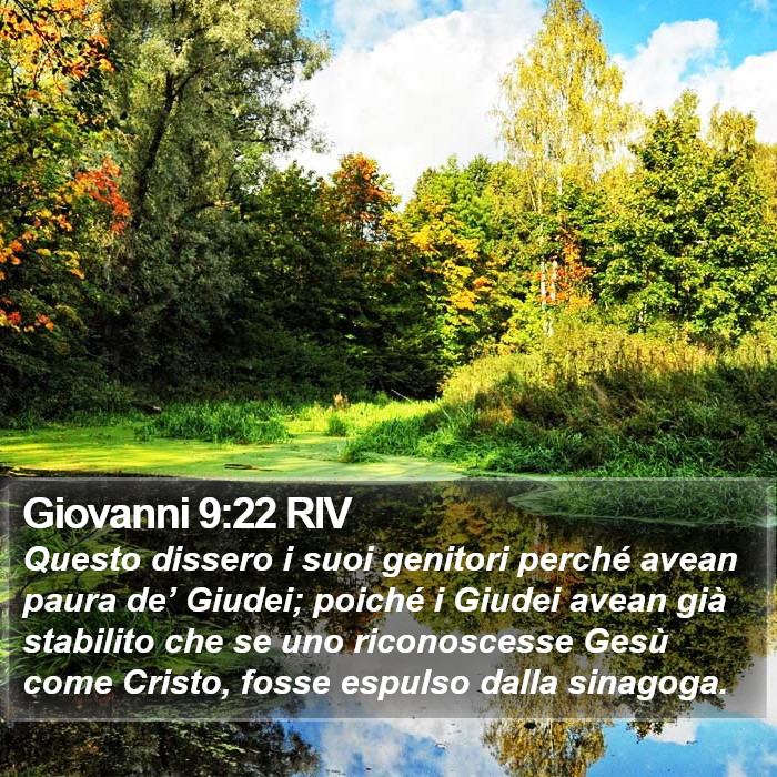 Giovanni 9:22 RIV Bible Study