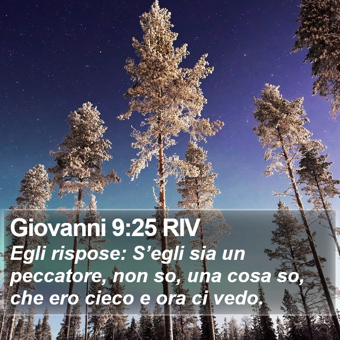 Giovanni 9:25 RIV Bible Study