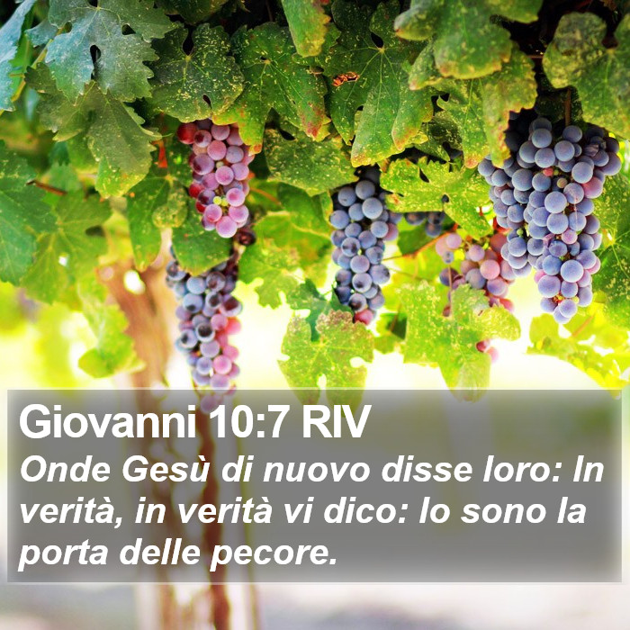 Giovanni 10:7 RIV Bible Study