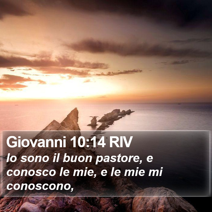 Giovanni 10:14 RIV Bible Study