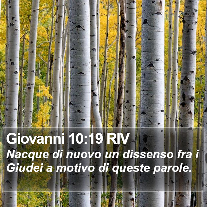 Giovanni 10:19 RIV Bible Study