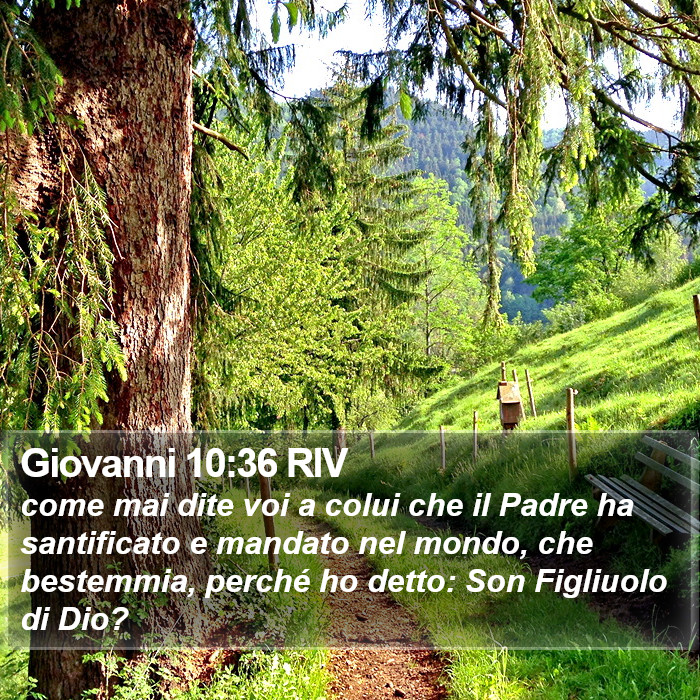 Giovanni 10:36 RIV Bible Study