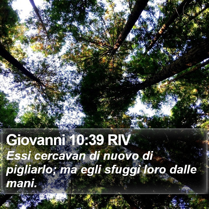 Giovanni 10:39 RIV Bible Study