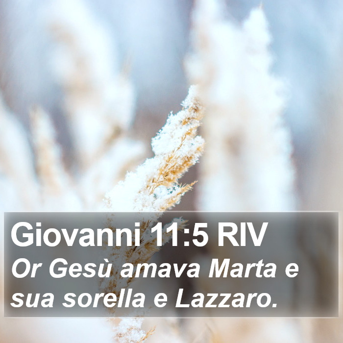 Giovanni 11:5 RIV Bible Study