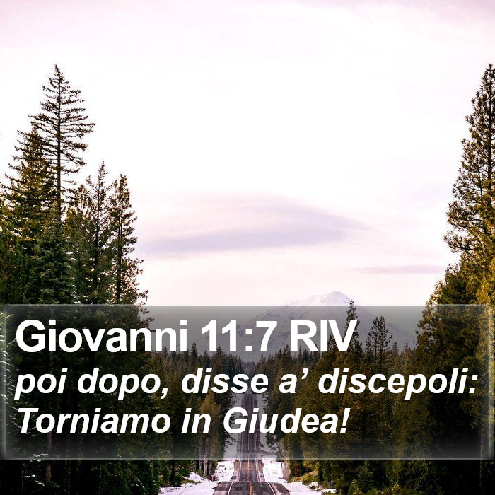 Giovanni 11:7 RIV Bible Study