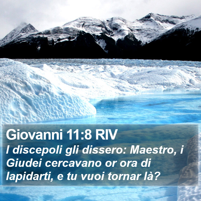 Giovanni 11:8 RIV Bible Study