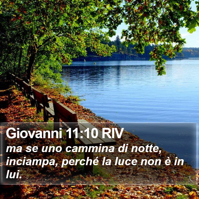 Giovanni 11:10 RIV Bible Study