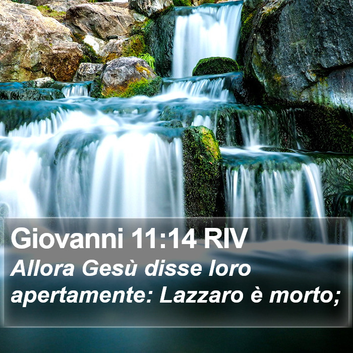 Giovanni 11:14 RIV Bible Study