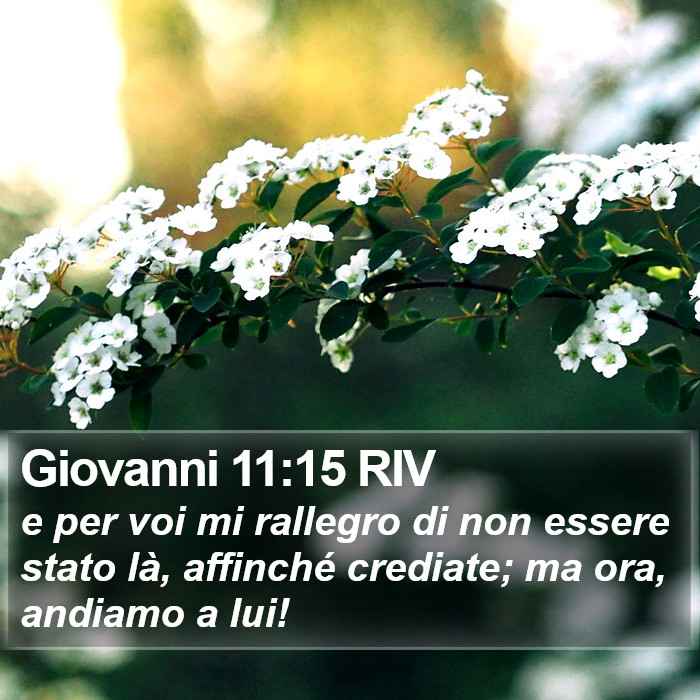 Giovanni 11:15 RIV Bible Study