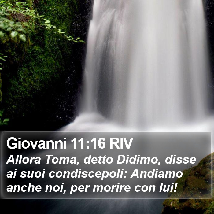 Giovanni 11:16 RIV Bible Study