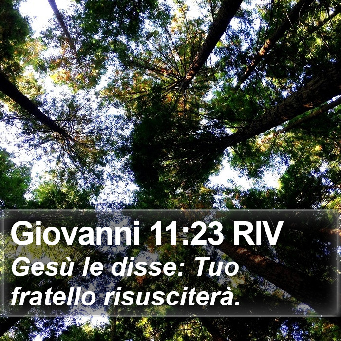 Giovanni 11:23 RIV Bible Study