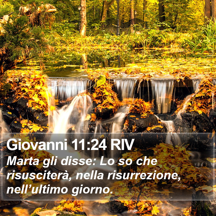 Giovanni 11:24 RIV Bible Study