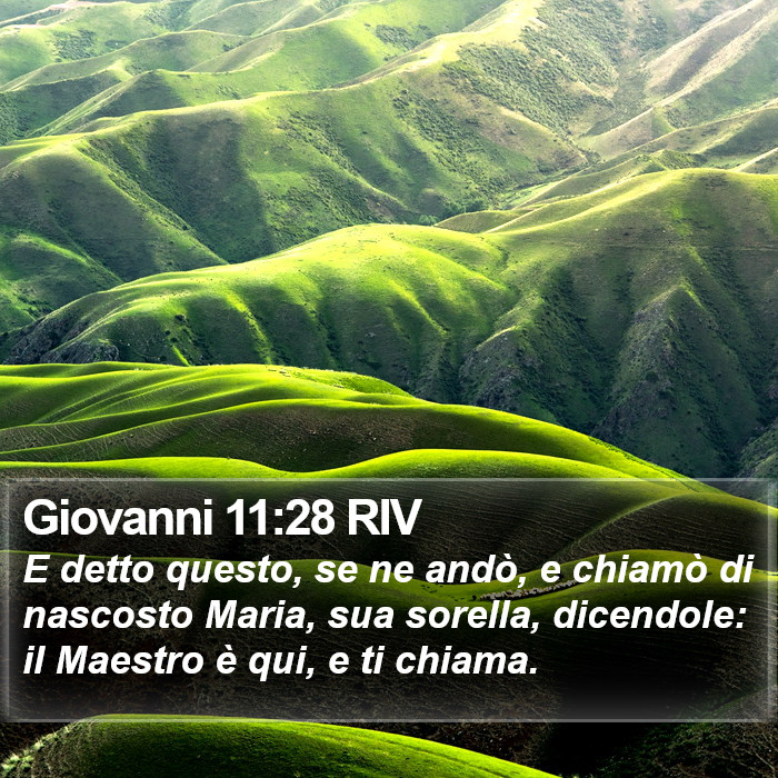 Giovanni 11:28 RIV Bible Study