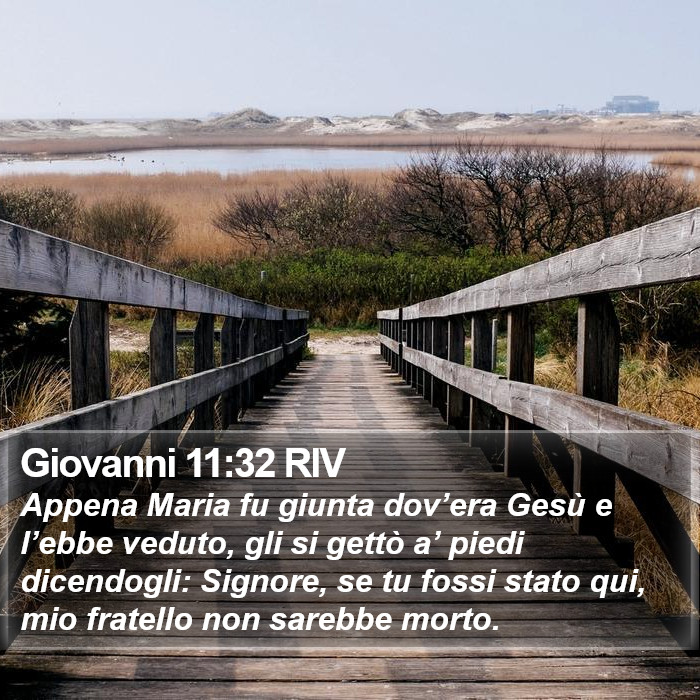 Giovanni 11:32 RIV Bible Study