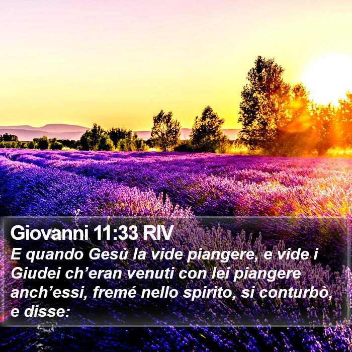 Giovanni 11:33 RIV Bible Study