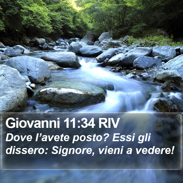 Giovanni 11:34 RIV Bible Study