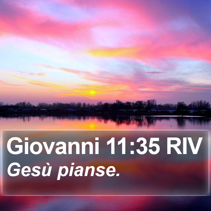 Giovanni 11:35 RIV Bible Study