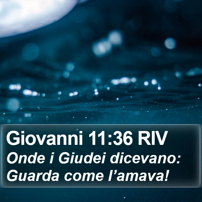 Giovanni 11:36 RIV Bible Study