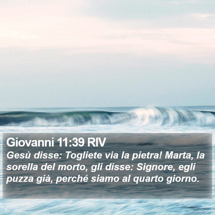 Giovanni 11:39 RIV Bible Study