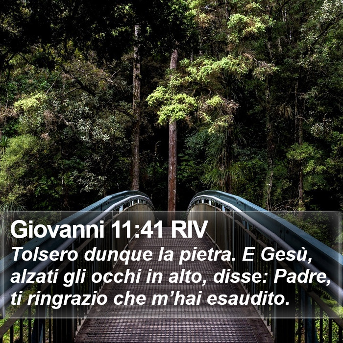 Giovanni 11:41 RIV Bible Study