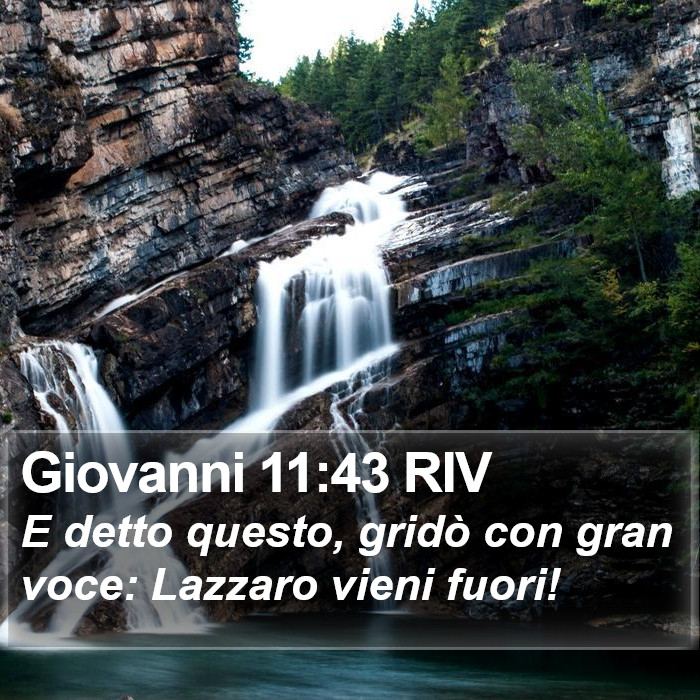 Giovanni 11:43 RIV Bible Study