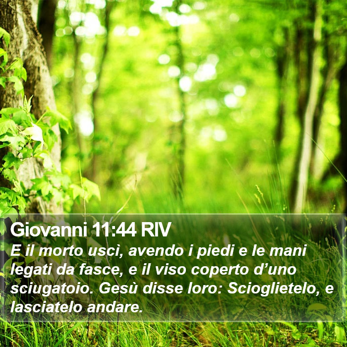 Giovanni 11:44 RIV Bible Study