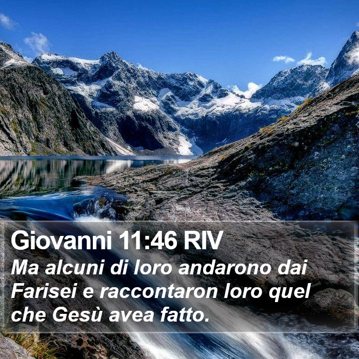 Giovanni 11:46 RIV Bible Study