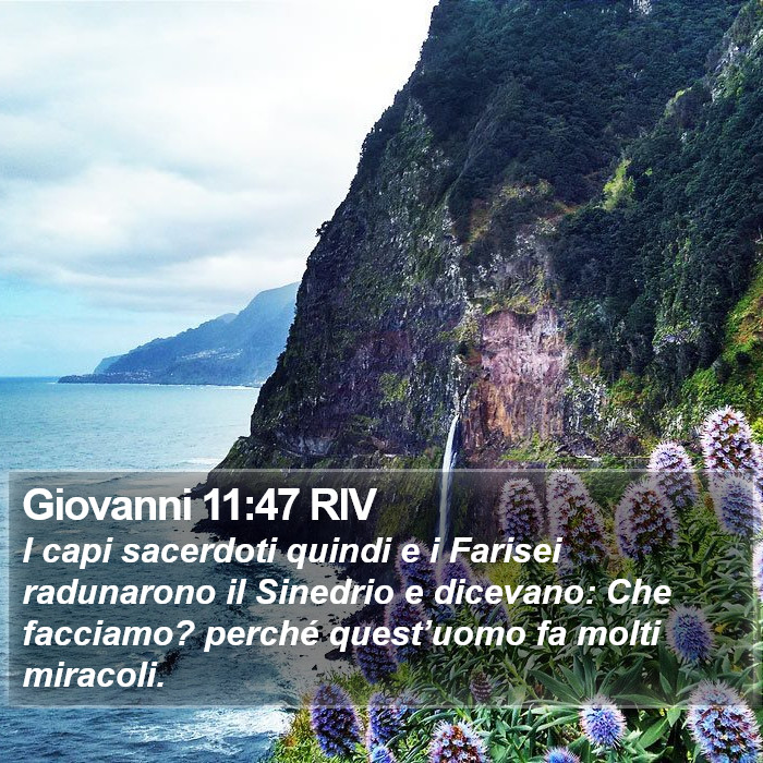 Giovanni 11:47 RIV Bible Study