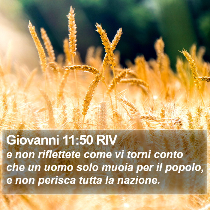 Giovanni 11:50 RIV Bible Study