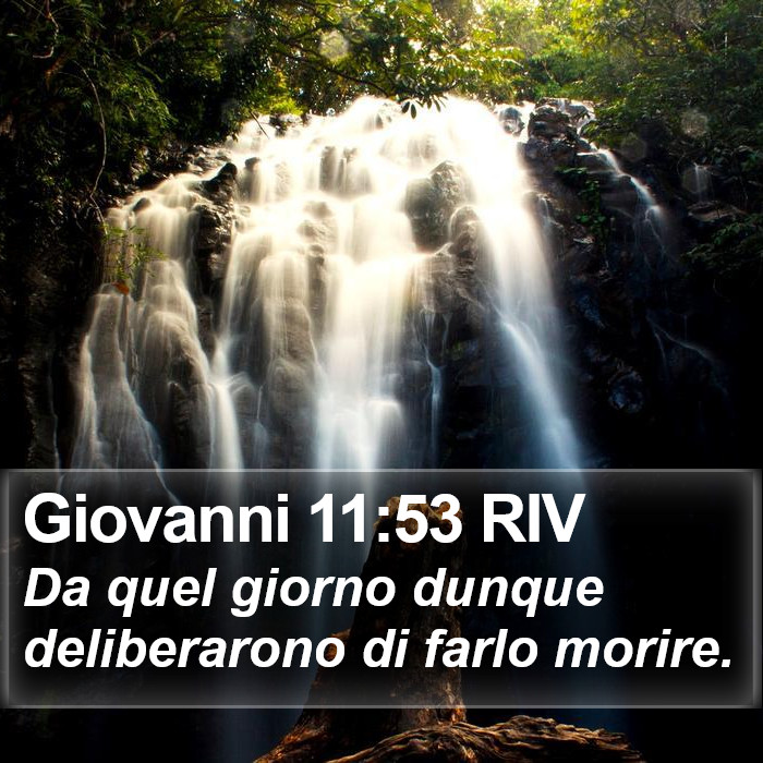 Giovanni 11:53 RIV Bible Study