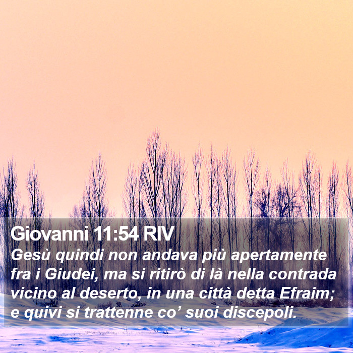 Giovanni 11:54 RIV Bible Study