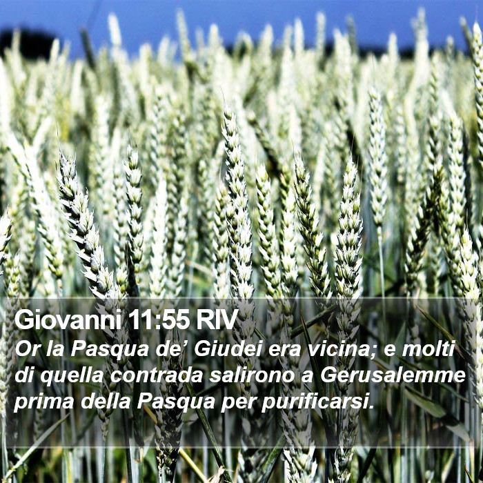 Giovanni 11:55 RIV Bible Study