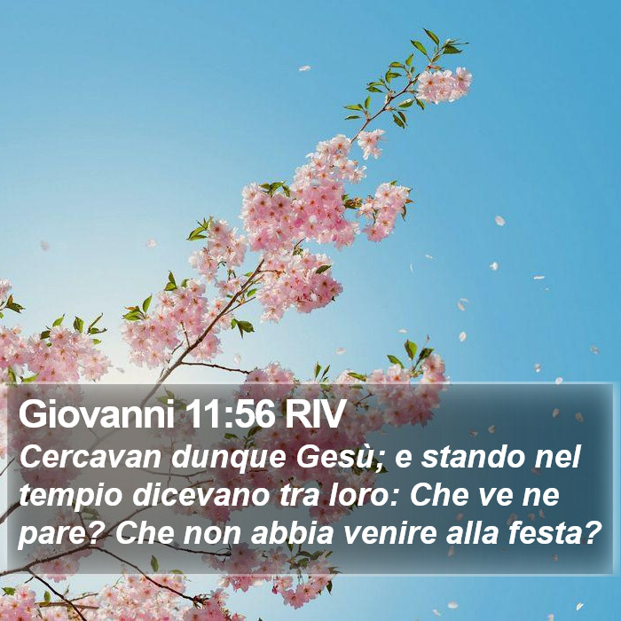 Giovanni 11:56 RIV Bible Study