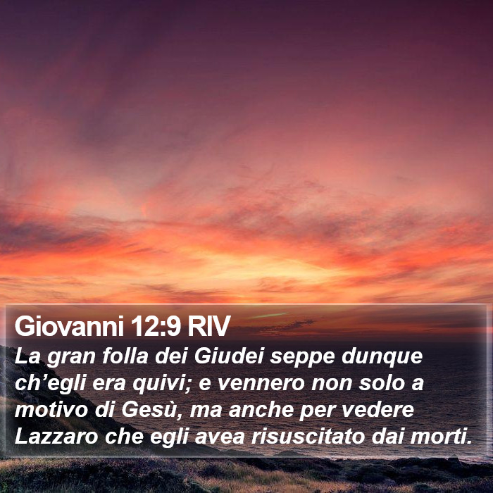 Giovanni 12:9 RIV Bible Study