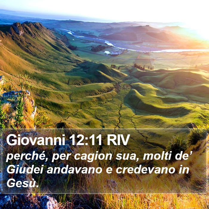 Giovanni 12:11 RIV Bible Study