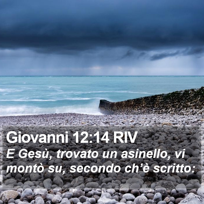 Giovanni 12:14 RIV Bible Study
