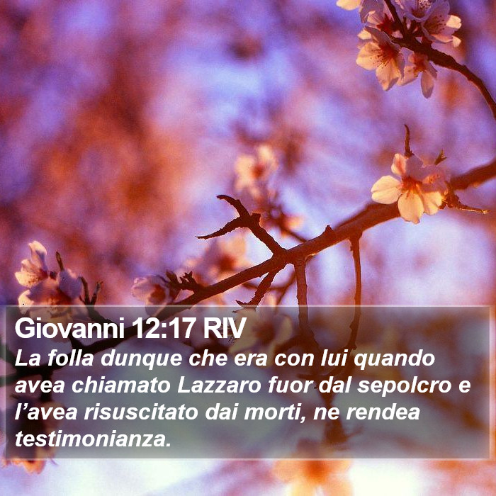 Giovanni 12:17 RIV Bible Study