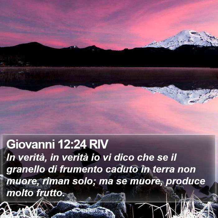 Giovanni 12:24 RIV Bible Study